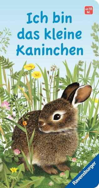 Bild zu Ich bin das kleine Kaninchen