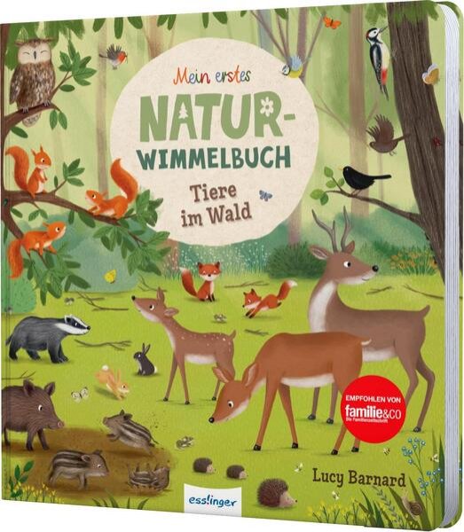 Bild zu Mein erstes Natur-Wimmelbuch: Tiere im Wald