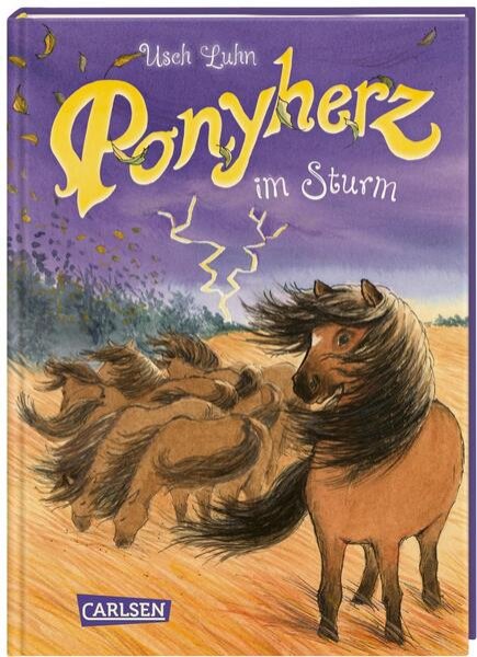 Bild zu Ponyherz 14: Ponyherz im Sturm