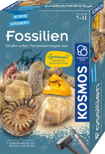 Bild zu Fossilien