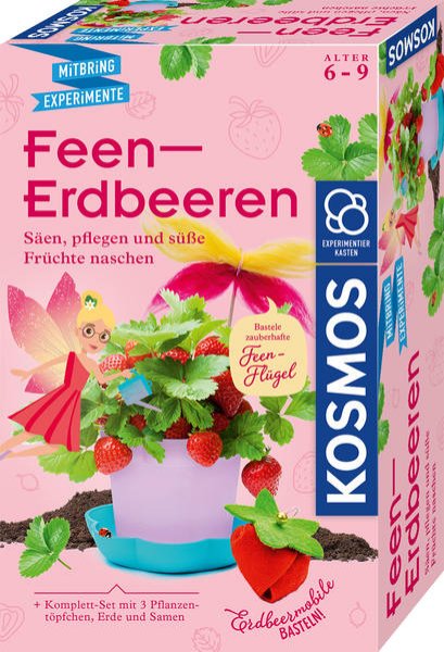 Bild zu Feen-Erdbeeren