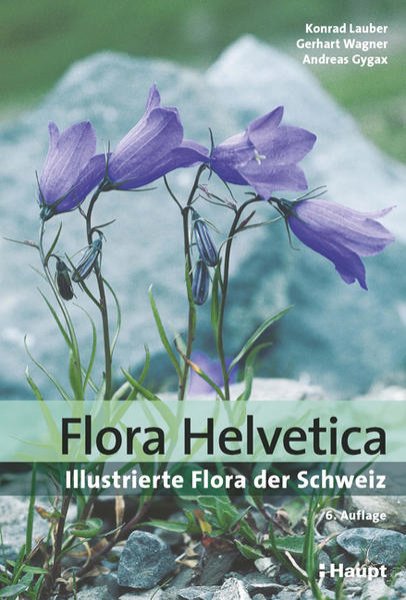 Bild zu Flora Helvetica - Illustrierte Flora der Schweiz