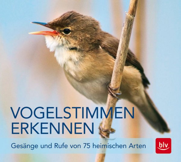 Bild zu Vogelstimmen erkennen / CD