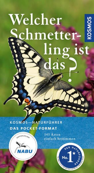 Bild zu Welcher Schmetterling ist das?