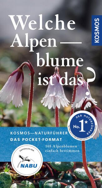 Bild zu Welche Alpenblume ist das?