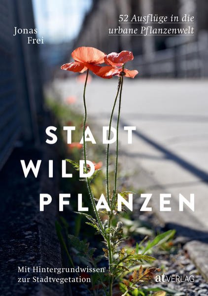 Bild zu Stadtwildpflanzen