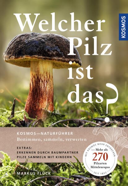 Bild zu Welcher Pilz ist das?