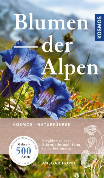 Bild zu Blumen der Alpen