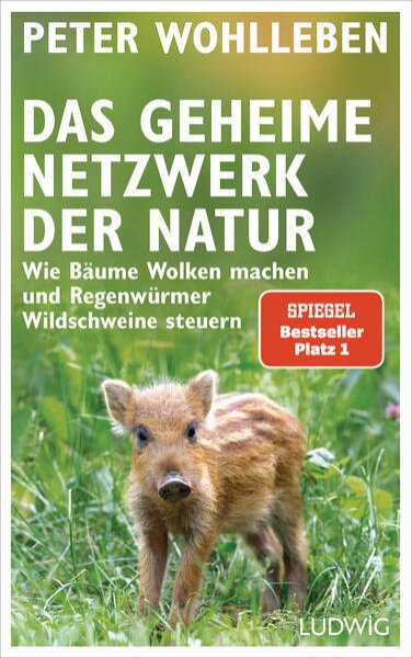 Bild zu Das geheime Netzwerk der Natur