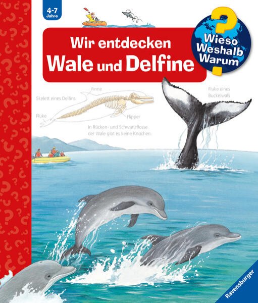 Bild zu Wieso? Weshalb? Warum? Band 41: Wir entdecken Wale und Delfine