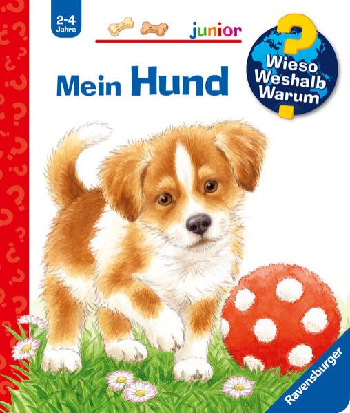 Bild zu Wieso? Weshalb? Warum? junior, Band 41: Mein Hund