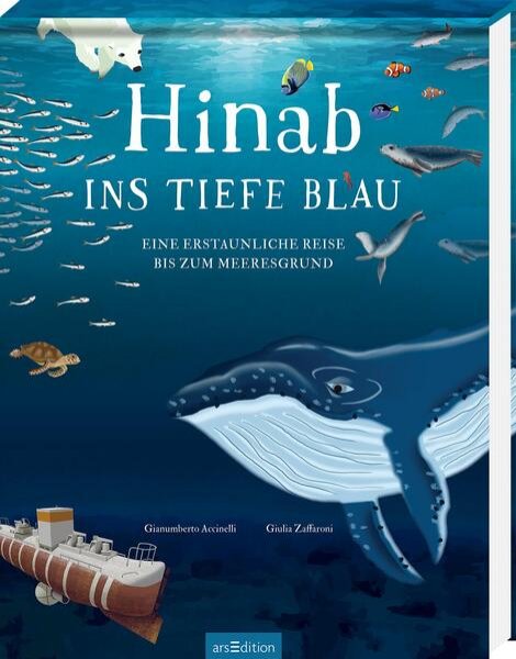 Bild zu Hinab ins tiefe Blau