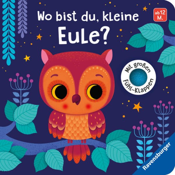 Bild zu Wo bist du, kleine Eule?