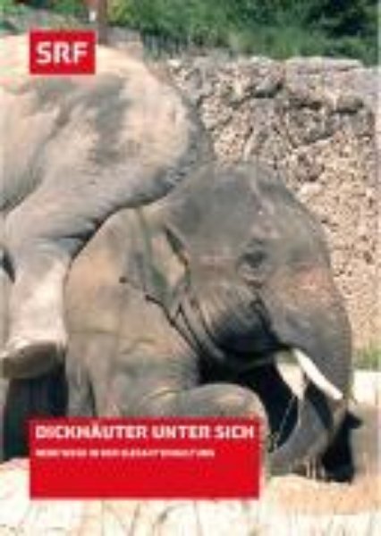 Bild von Schweiz aktuell Spezial: Dickhaeuter unter sich