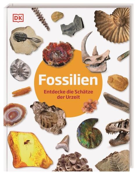 Bild zu Fossilien