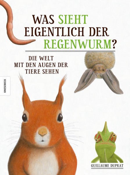 Bild zu Was sieht eigentlich der Regenwurm?