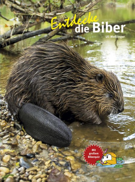 Bild zu Entdecke die Biber