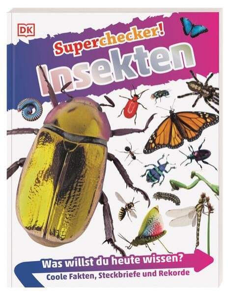 Bild zu Superchecker! Insekten