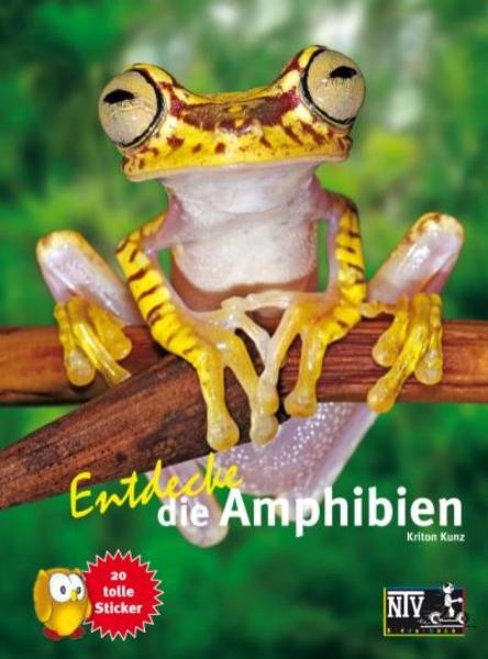 Bild zu Entdecke die Amphibien