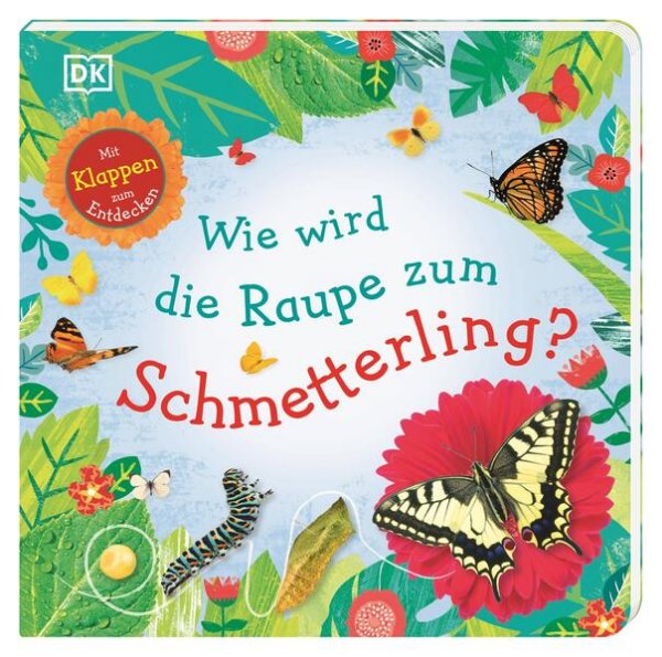 Bild zu Wie wird die Raupe zum Schmetterling?