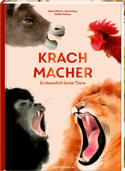 Bild zu Krachmacher