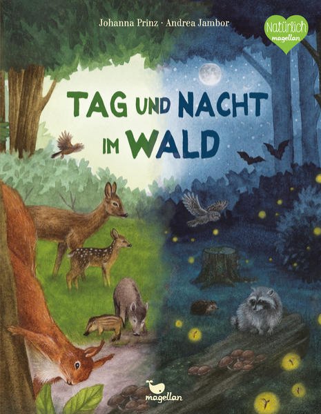 Bild zu Tag und Nacht im Wald