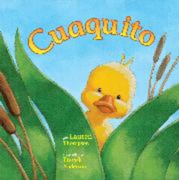 Bild von Cuaquito (Little Quack)