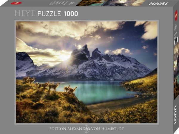 Bild zu Guanacos Puzzle