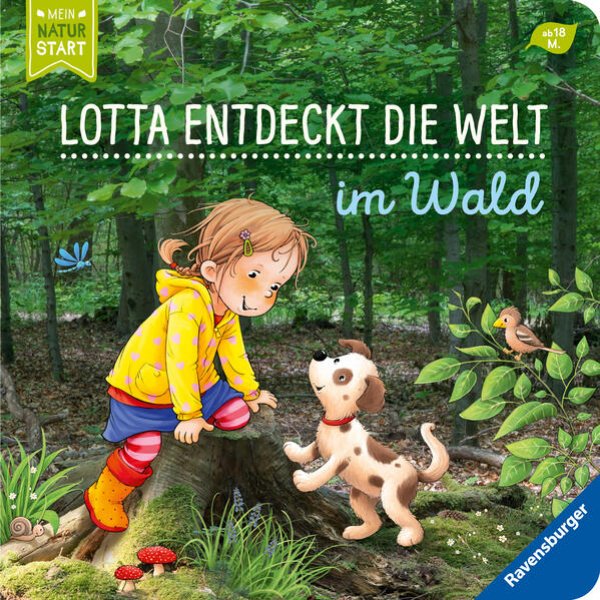 Bild zu Lotta entdeckt die Welt: Im Wald