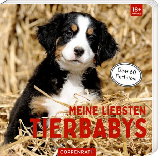 Bild zu Meine liebsten Tierbabys