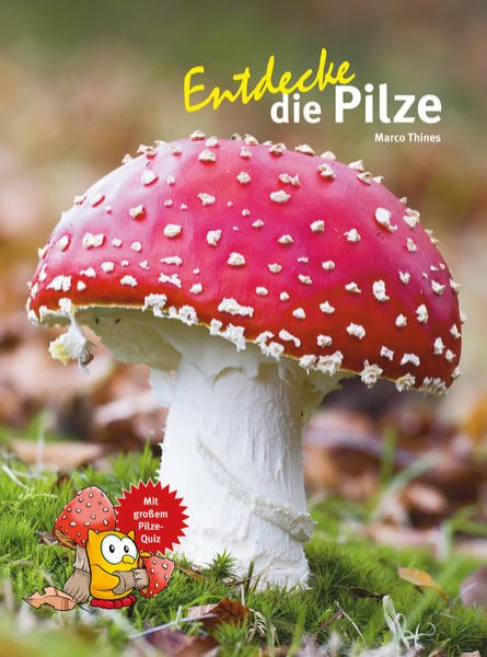 Bild zu Entdecke die Pilze