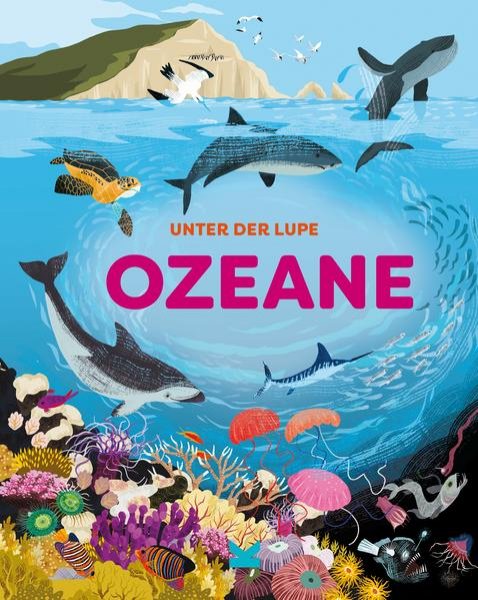 Bild zu Unter der Lupe: Ozeane