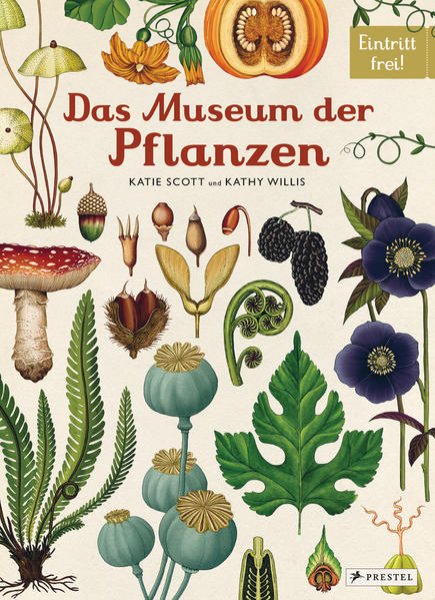 Bild zu Das Museum der Pflanzen