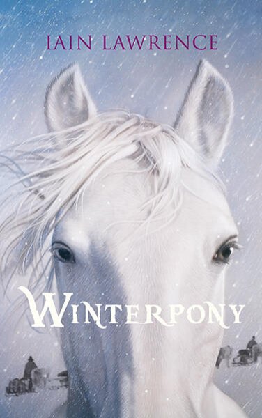 Bild zu Winterpony