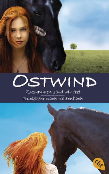 Bild zu Ostwind