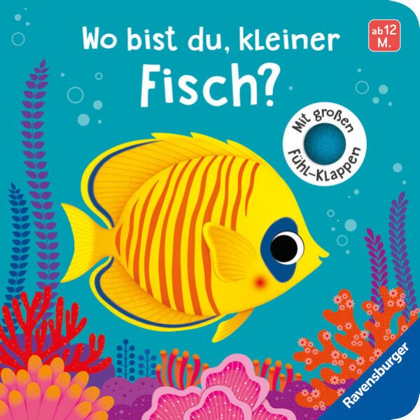 Bild zu Wo bist du, kleiner Fisch?