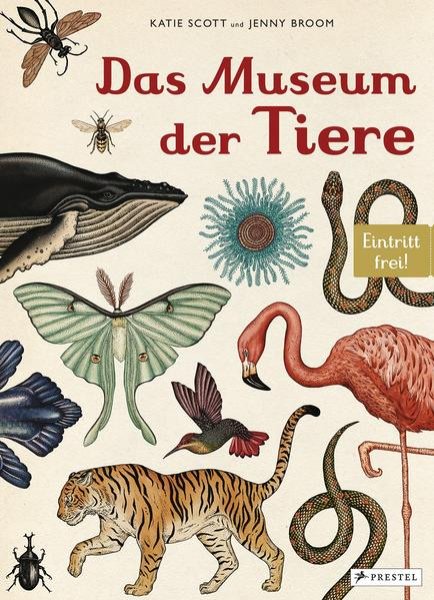 Bild zu Das Museum der Tiere