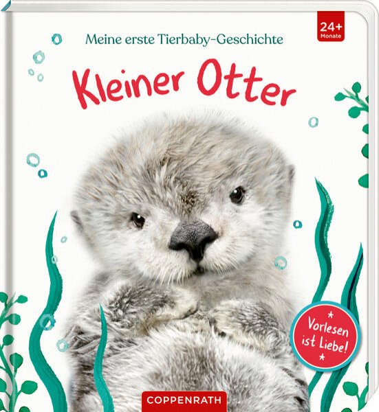 Bild zu Meine erste Tierbaby-Geschichte: Kleiner Otter