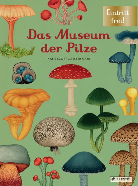 Bild zu Das Museum der Pilze