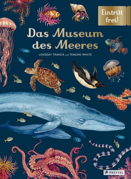 Bild zu Das Museum des Meeres