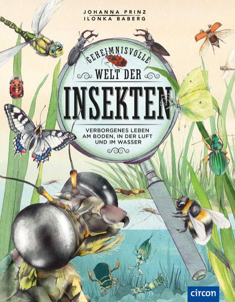 Bild zu Geheimnisvolle Welt der Insekten