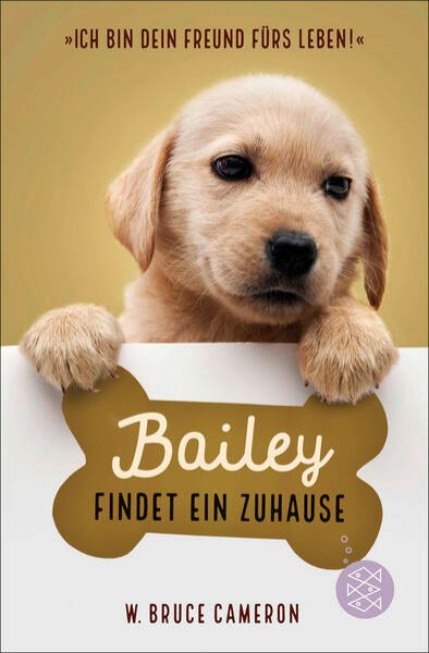 Bild zu Bailey findet ein Zuhause