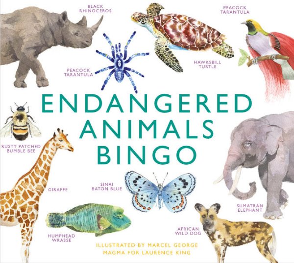 Bild zu Endangered Animals Bingo