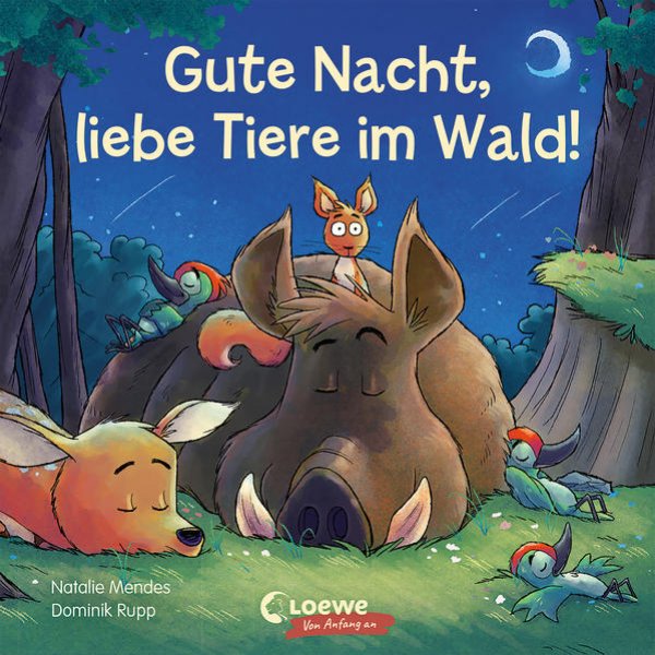 Bild zu Gute Nacht, liebe Tiere im Wald!