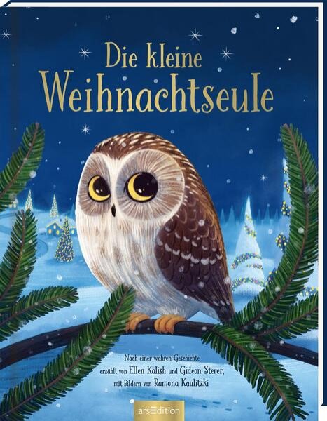 Bild zu Die kleine Weihnachtseule