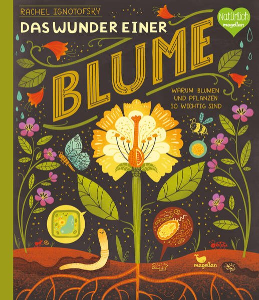 Bild zu Das Wunder einer Blume - Warum Blumen und Pflanzen so wichtig sind