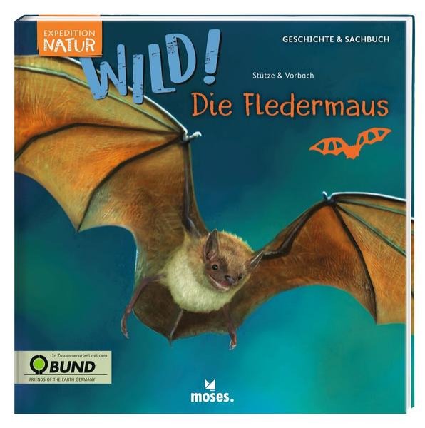 Bild zu Expedition Natur: WILD! Die Fledermaus