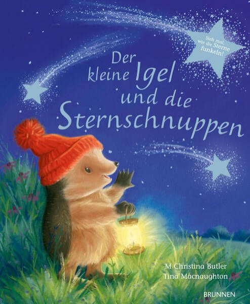 Bild zu Der kleine Igel und die Sternschnuppen