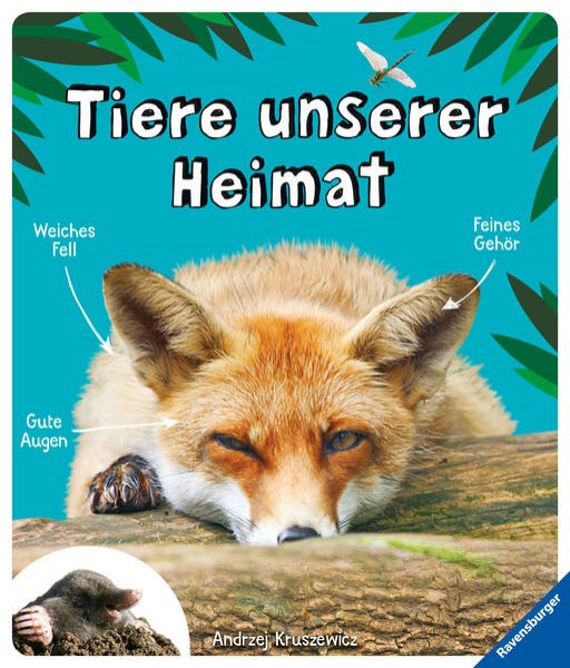 Bild zu Tiere unserer Heimat