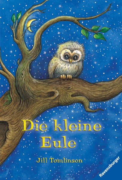 Bild zu Die kleine Eule